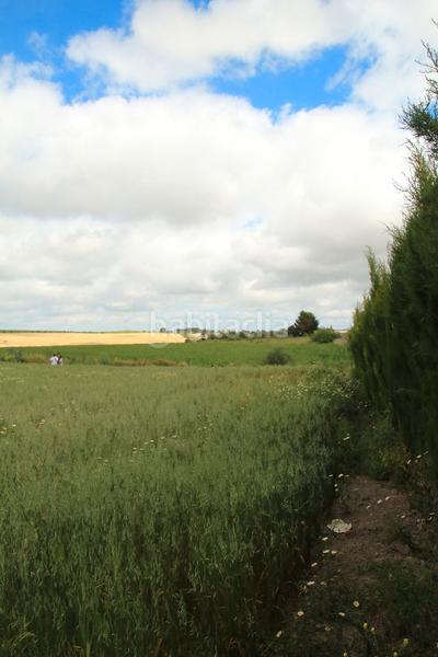 Foto 5ced11d4-aacb-4ebf-9738-3a14fb6d2b39. Finca rústica en El Rocío - La Milagrosa Jerez de la Frontera