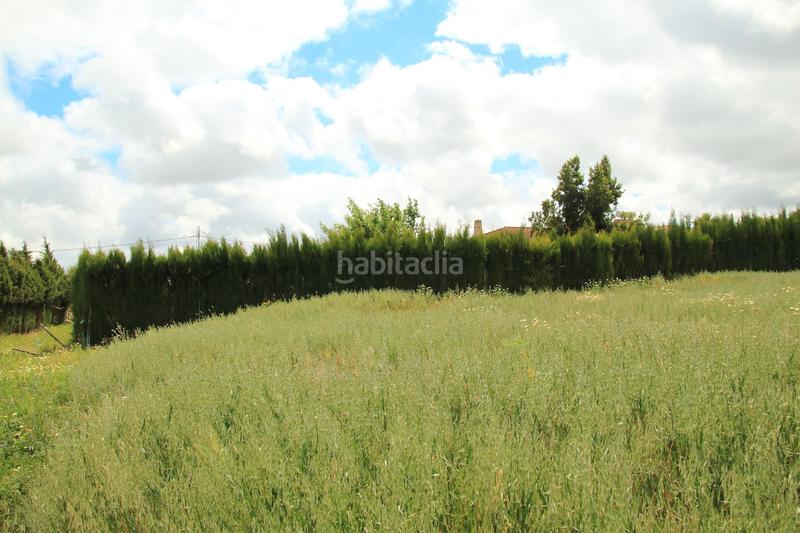 Foto b10ddfe7-1540-403c-a6b8-ea5a52df9b7e. Finca rústica en El Rocío - La Milagrosa Jerez de la Frontera