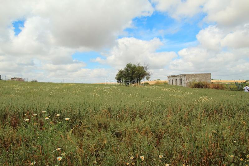 Foto b308c832-1a9e-426c-a93f-c4192ac8aee6. Finca rústica en El Rocío - La Milagrosa Jerez de la Frontera