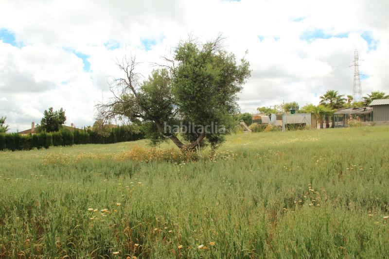 Foto b7a51b7d-1638-4667-9f48-975d2612c99c. Finca rústica en El Rocío - La Milagrosa Jerez de la Frontera