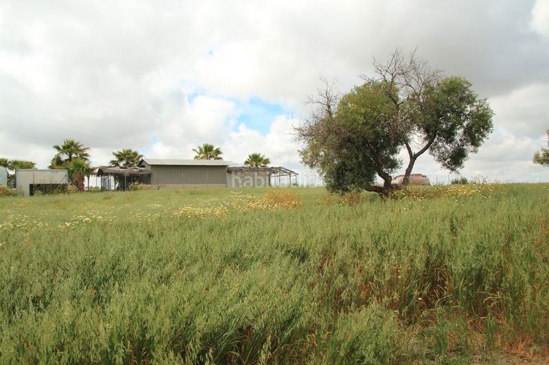 Foto febce668-c07f-423e-a4cc-05c1e1bb89c2. Finca rústica en El Rocío - La Milagrosa Jerez de la Frontera