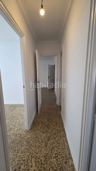 Foto f848b76e-7aa0-4eae-8624-57ea9b76d559. Pis a Santiago - Coronación Jerez de la Frontera