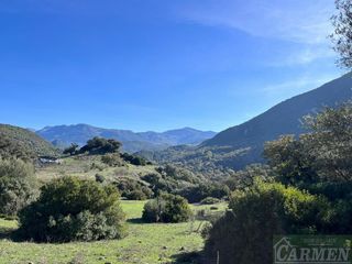 Mas�a en Bosque (El). El bosquefinca rustica