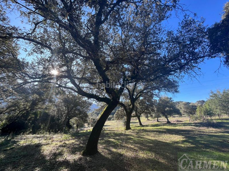 Foto 12b91577-ae78-4013-ab5a-1e4a4995387c. Masia a Bosque (El)