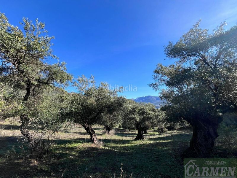 Foto 57044811-69ef-4b47-8872-099a97dacaa0. Masia a Bosque (El)