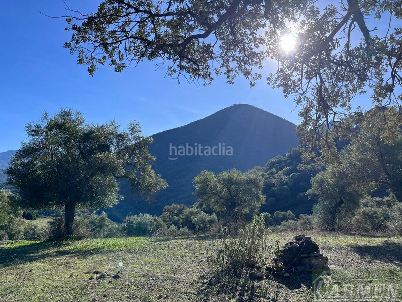 Foto 571fa5f7-8f9b-43a1-89fb-6b8a82af56a0. Masia a Bosque (El)