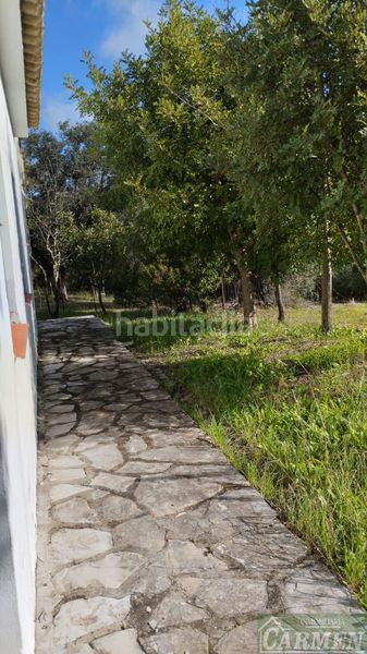 Foto 57c5e8e5-af69-490e-b9be-01f3c1593284. Masia a Bosque (El)