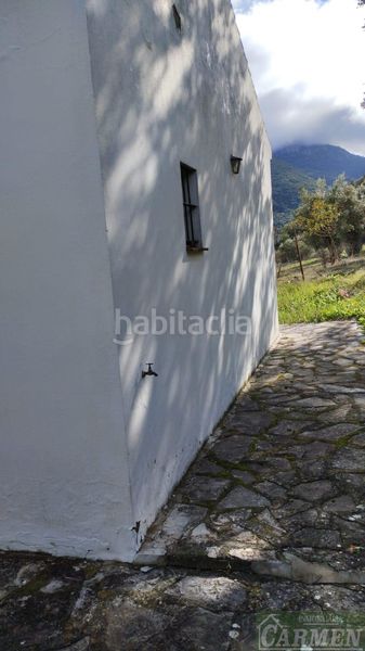 Foto 6b090e30-38b9-4aad-8df1-1a97739d25ff. Masia a Bosque (El)