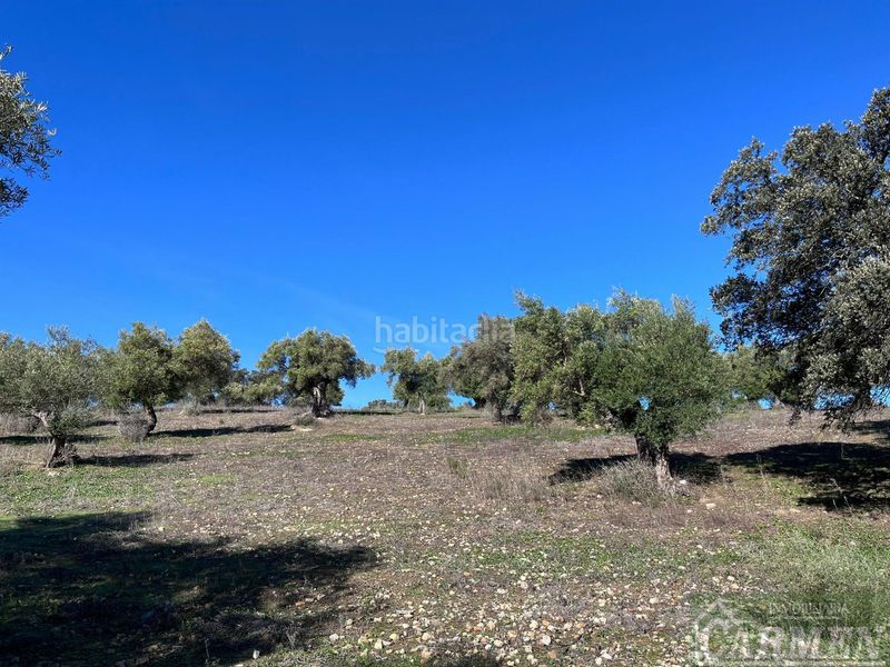 Foto 6b51ef88-70a3-42be-9c52-95008192f832. Masia a Bosque (El)