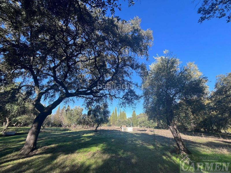 Foto 990feed8-0648-426f-bbc2-a1d1b9e019ec. Masia a Bosque (El)
