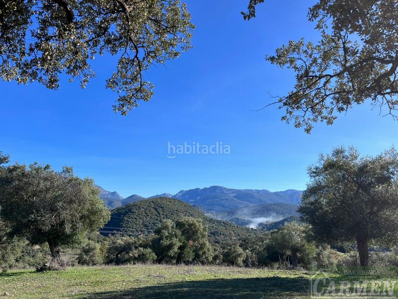 Foto ba6cadfd-f044-4208-a611-7d5fc4b87ac3. Masia a Bosque (El)