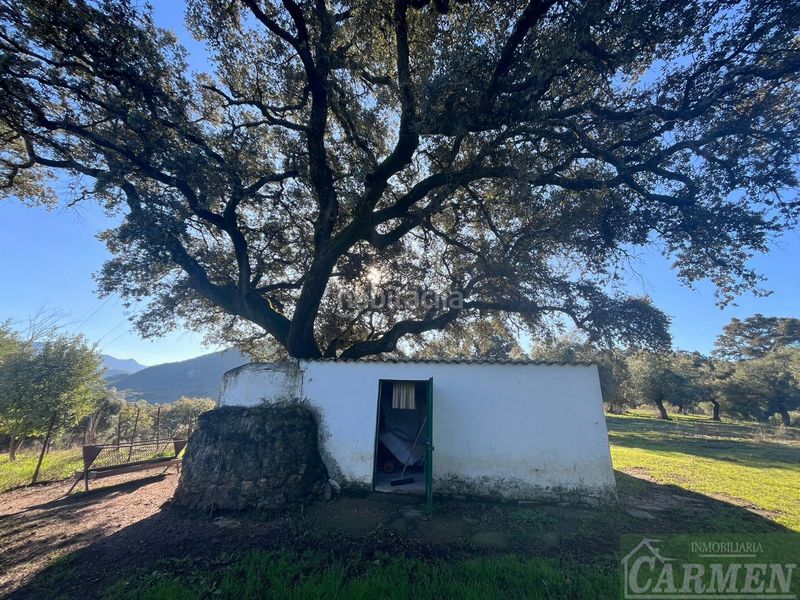 Foto cf13695e-6518-410f-b02e-732896fa6b13. Masia a Bosque (El)