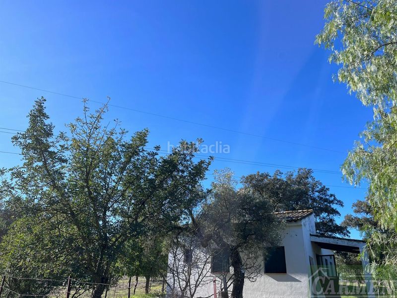 Foto e2b1865b-befb-4481-8cbf-28f63e71505b. Masia a Bosque (El)