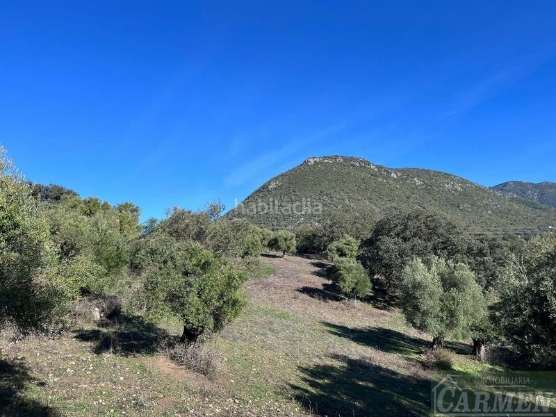Foto e3221a7c-324e-4855-b1af-7726a12ddb59. Masia a Bosque (El)