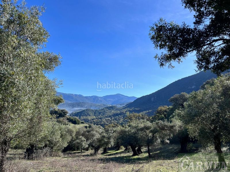 Foto ea7e1cec-4690-4133-9e5e-05c76b9ed203. Masia a Bosque (El)