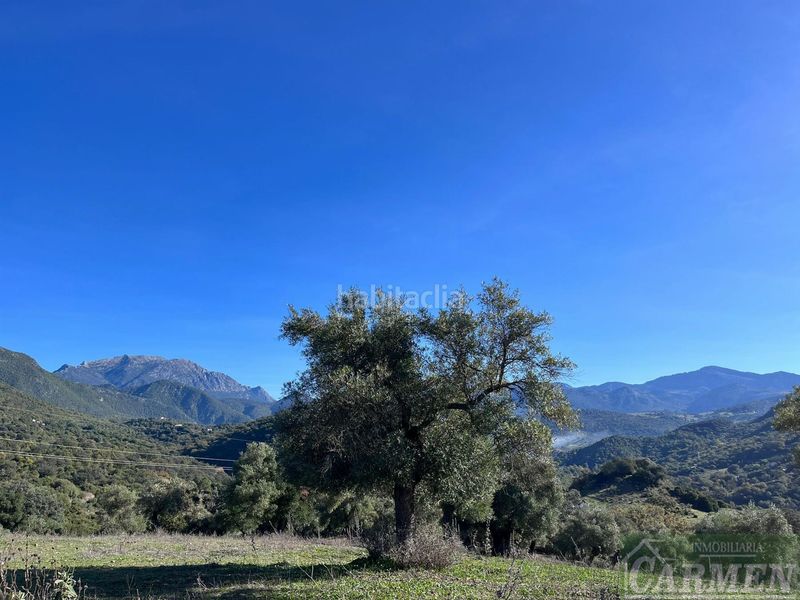 Foto f591ff62-2eb2-4f22-9d66-b4bc1ef37a6e. Masia a Bosque (El)