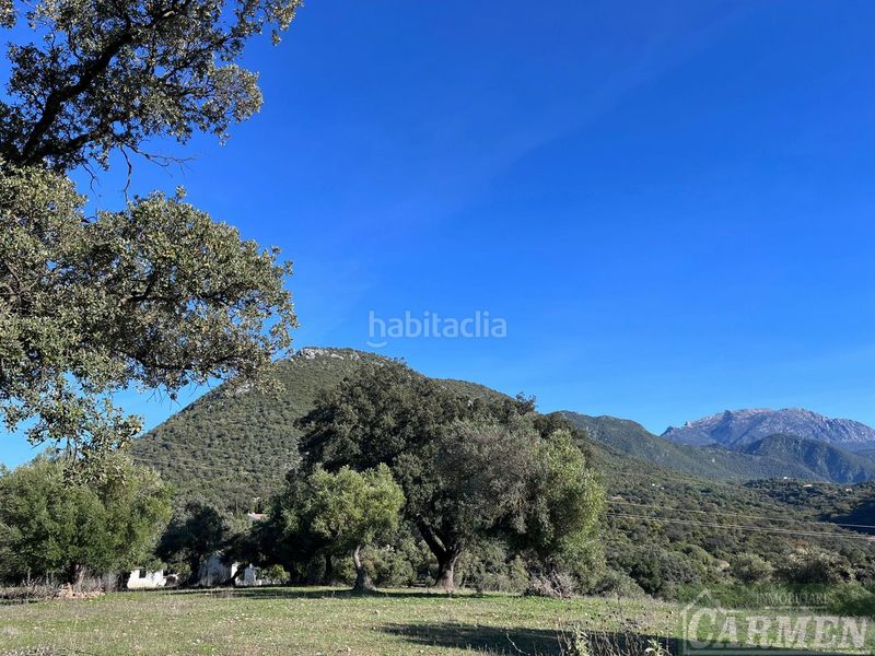 Foto fc368d0f-2fd4-470f-a8a3-2c5ed5418332. Masia a Bosque (El)