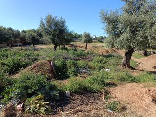 Wohngrundstück in Ogíjares