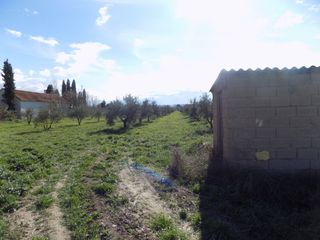 Residential Plot in Santa Fe