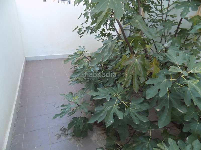 Foto 974164ec-c157-41b3-8c1e-e111dff8f74c. Casa amb aparcament a Freila