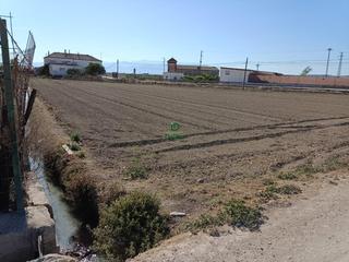 Residential Plot in Chauchina