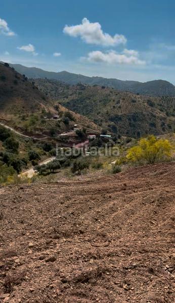 Foto 107be2ab-6f2b-4548-8a9d-d1a4d9459bf6. Finca rústica a n/a a El Cortijuelo Málaga