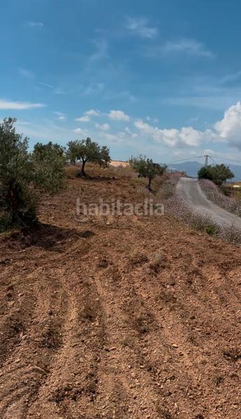Foto 3503cb09-280f-4512-8ea2-a49aac254b15. Finca rústica a n/a a El Cortijuelo Málaga