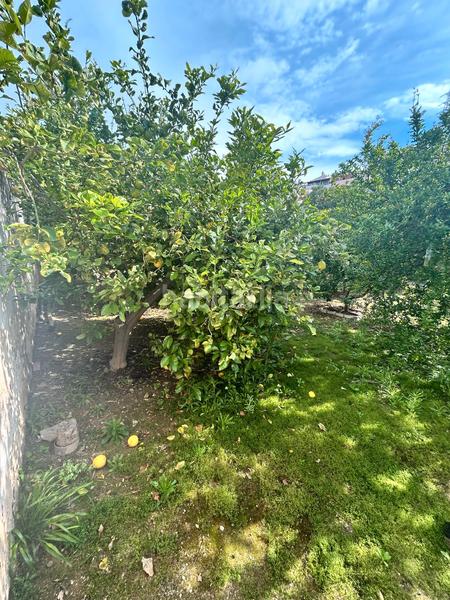 Foto 1579b41d-62a5-48c1-930c-a08092e5cd8f. Terreno residencial en calle escritor atienza huertos 41 terreno en venta en Málaga