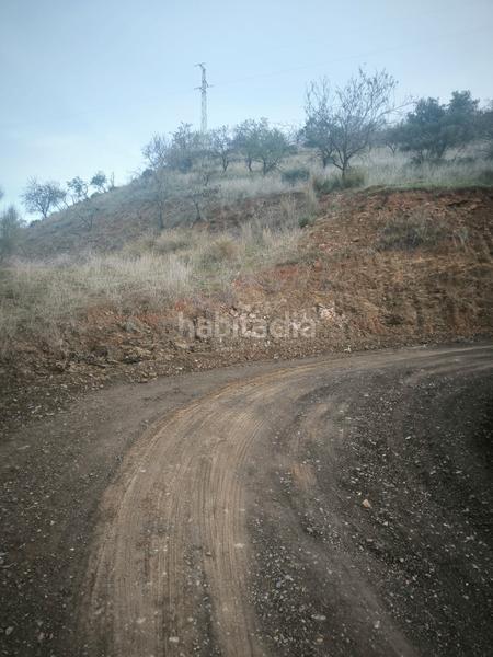 Foto 0257f836-ba12-4cc6-becb-378d2a2a1b7c. Finca rústica a Almogía