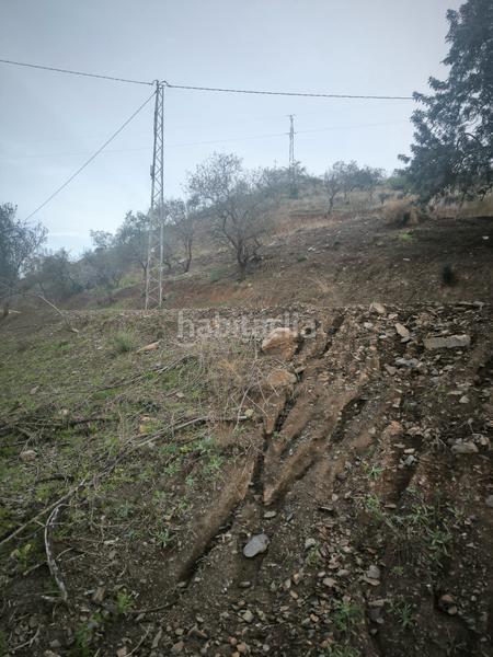 Foto 59d006ec-59f8-415a-acf0-c06dc0d7eda4. Finca rústica a Almogía