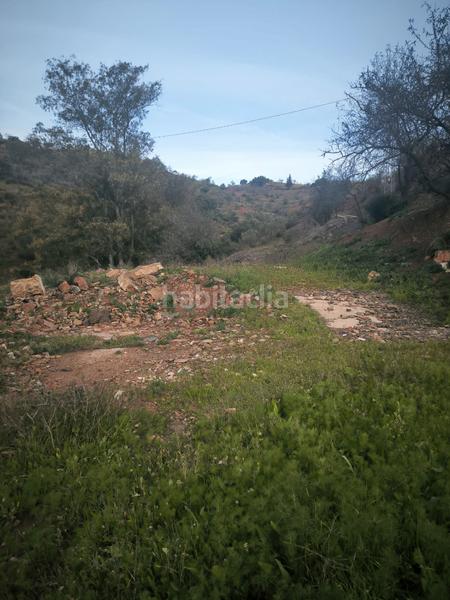 Foto 687e0567-de14-42f5-9d51-ff631379bbbf. Finca rústica a Almogía