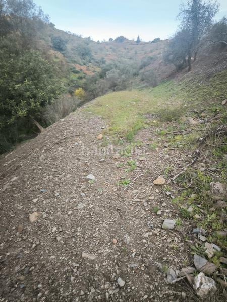 Foto 88cd4b73-5376-4205-8cd9-b96c0c86014e. Finca rústica a Almogía