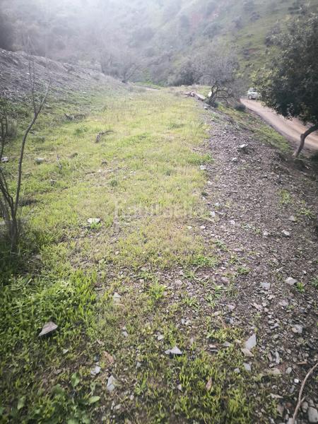 Foto cabaeaf7-c9c2-4f35-a081-20d5eade2bf9. Finca rústica a Almogía