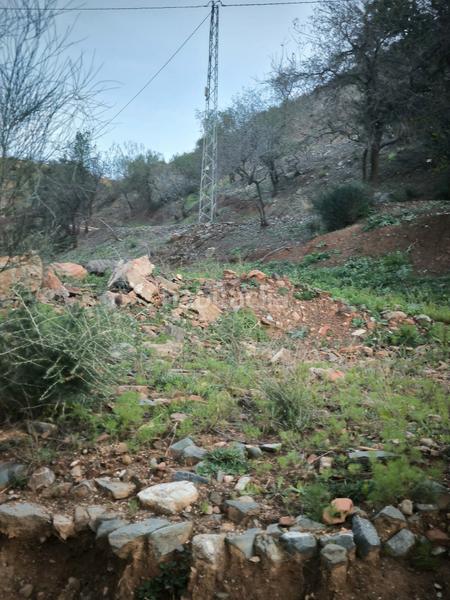 Foto d21d8ebc-71b1-4aee-8f88-21cab1d28fa4. Finca rústica a Almogía