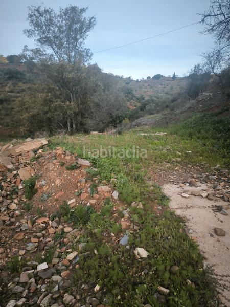 Foto d4a29376-c992-4d37-a98c-d08c6a422059. Finca rústica a Almogía