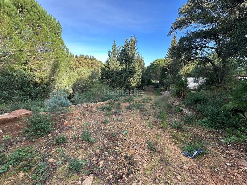 Foto 15c0b031-99d4-49c0-9504-0a69456de2ee. Finca rústica a Barrios (Los)