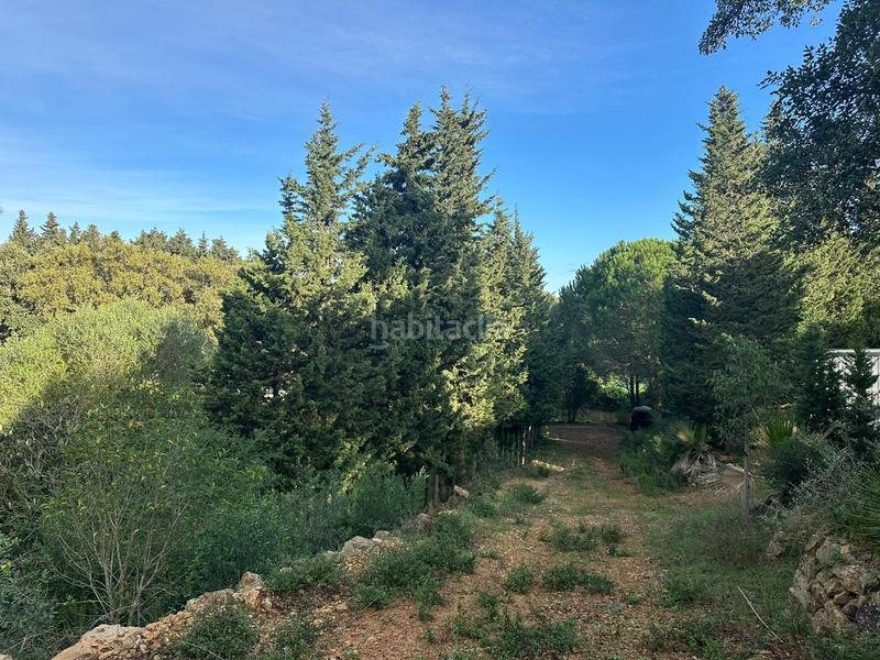 Foto 2420c06d-9ebb-4925-9af5-5c9798d504da. Finca rústica a Barrios (Los)