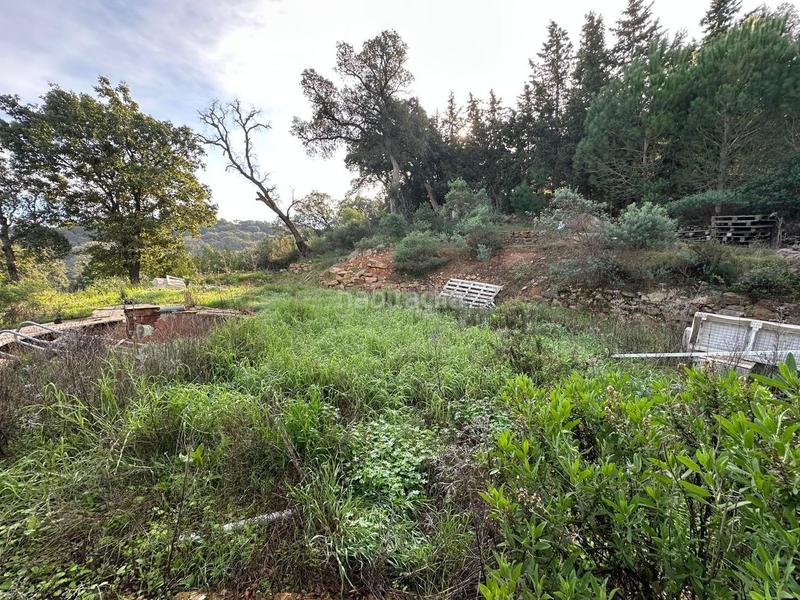 Foto 5ce22b2a-8e7a-4ae1-bd51-532bc5402902. Finca rústica a Barrios (Los)