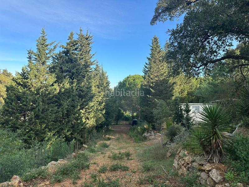 Foto 6a1c5939-8ba3-4610-bb51-ed7f82221abd. Finca rústica a Barrios (Los)