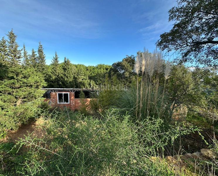 Foto b77b9cf1-72ed-49df-aff8-e03483f55278. Finca rústica a Barrios (Los)