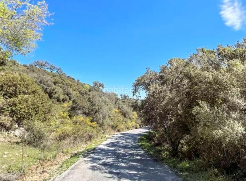 Foto d6d19a57-5aeb-44a2-ad5e-0e2541b6eefb. Finca rústica a Barrios (Los)