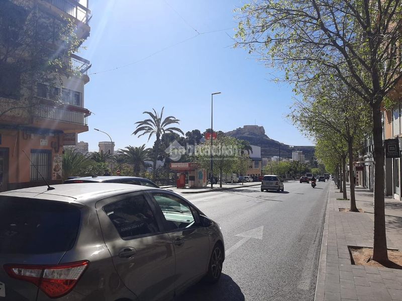 Foto 50aa13a6-0bc3-423e-a8e4-3e30b59736c7. Pis a Campoamor Alicante