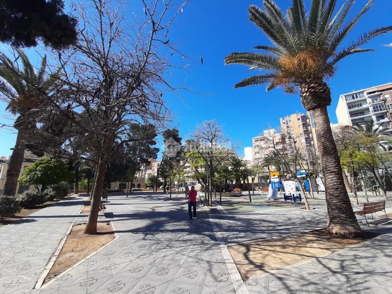 Foto f7ac036e-946c-46cc-9508-4ce82a41200d. Pis a Campoamor Alicante