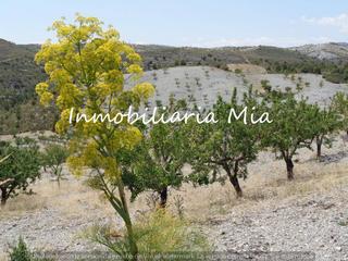 Haus in Puerto Lumbreras. Se vende finca de 23 hectáreas a 15 minutos de puerto lumbreras
