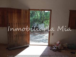 Casa a Puerto Lumbreras. Estupenda finca de almendros y olivos en venta lorca