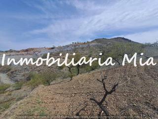 Maison à Huércal - Overa. Se vende finca con casa a reformar
