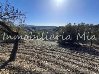 Casa en Vélez - Rubio. Se vende finca de 230000m2 aprox en velez rubio