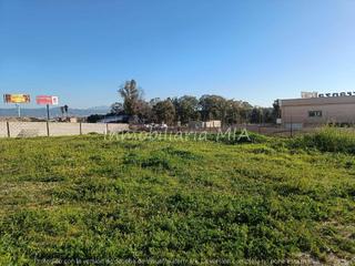 Terreny residencial a Cortijo de Maza - Finca Monsalvez - El Olivar. Parcela de 800m2 en urbanizacion el olivar