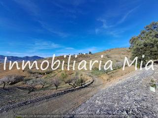 Casa in Zarzalico. Oportunidad única! finca en los jarales  35,000 m con casa y alm