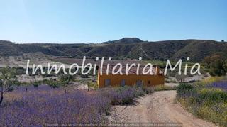 Casa in Zarzalico. Finca rústica con vivienda y 30.000m de almendros en producción